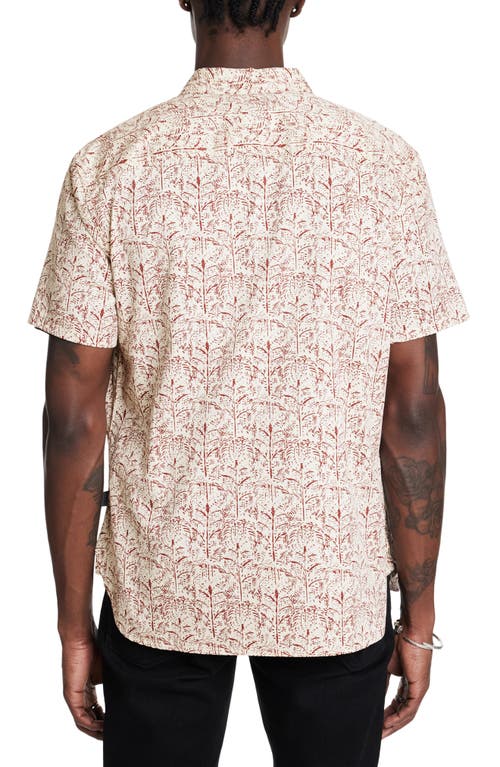 John Varvatos Sean Short Sleeve Button-up Shirt