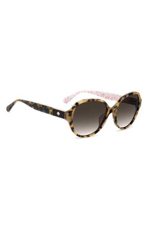 Kate Spade New York Emalie 56mm Gradient Oval Sunglasses In Havana/brown Sf