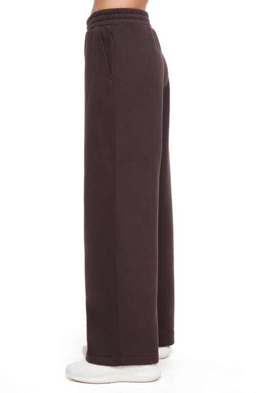 Balance Collection Wren Wide Leg Sweatpants In Brown