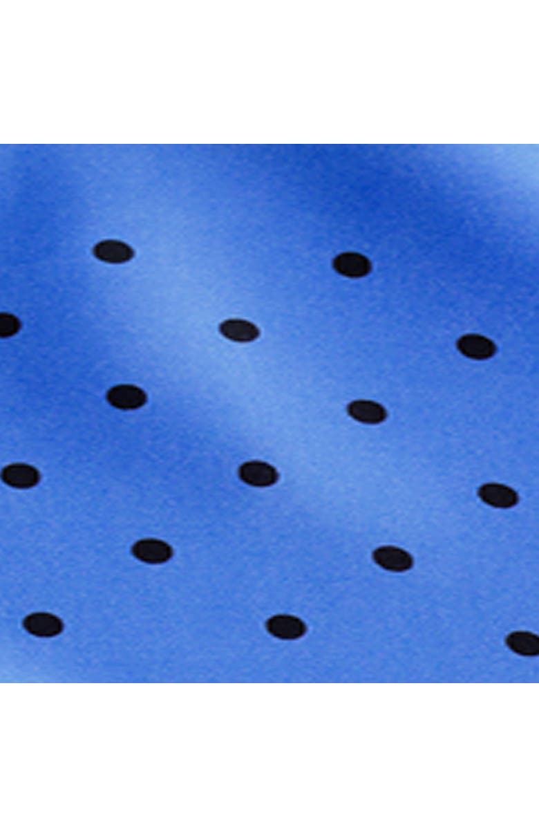 COS Polka-Dot Silk Scarf, Alternate, color, Blue / Cream / Polka Dot