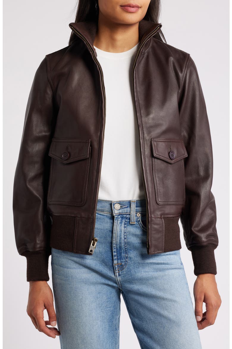Leather Flight Jacket, Alternate, color, BROWN
