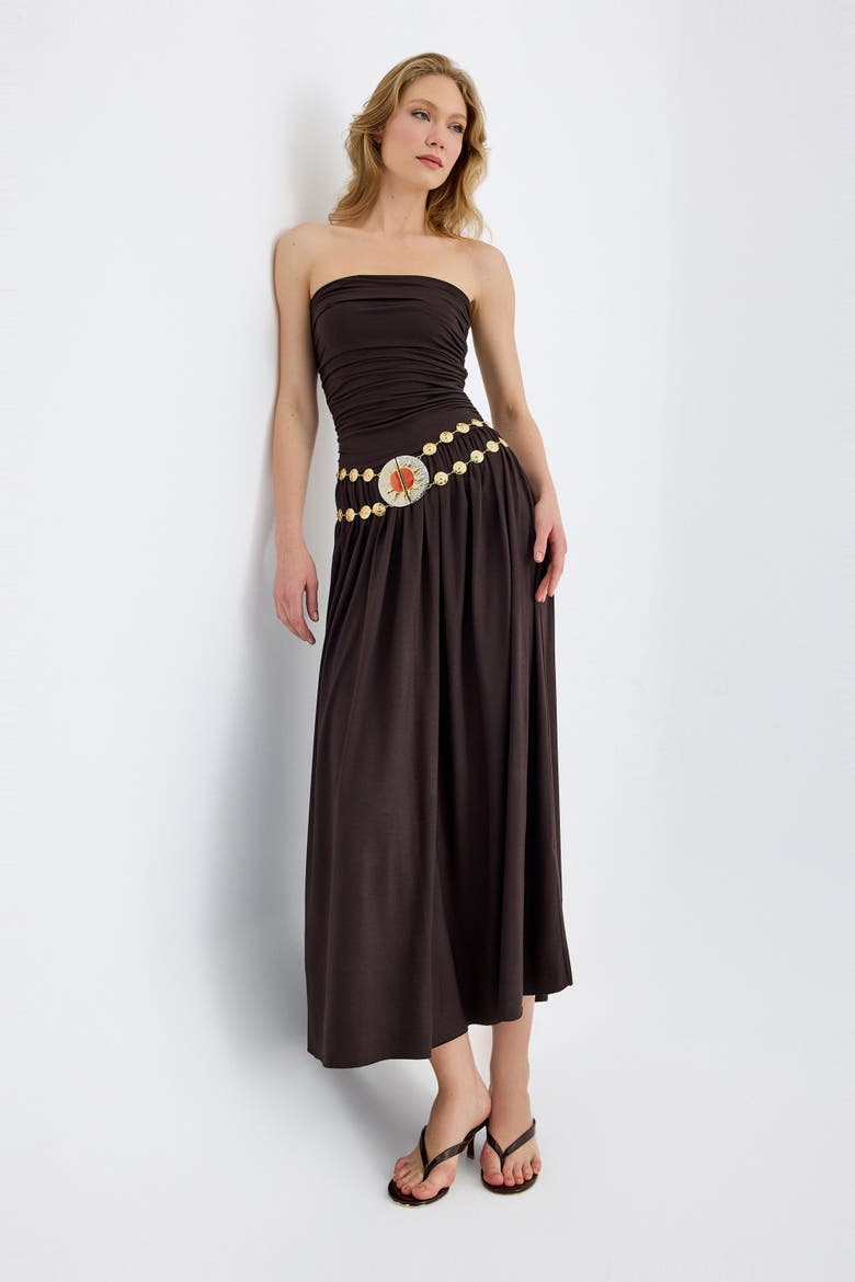 Aluna Strapless Stretch Maxi Dress, Alternate, color, Brown