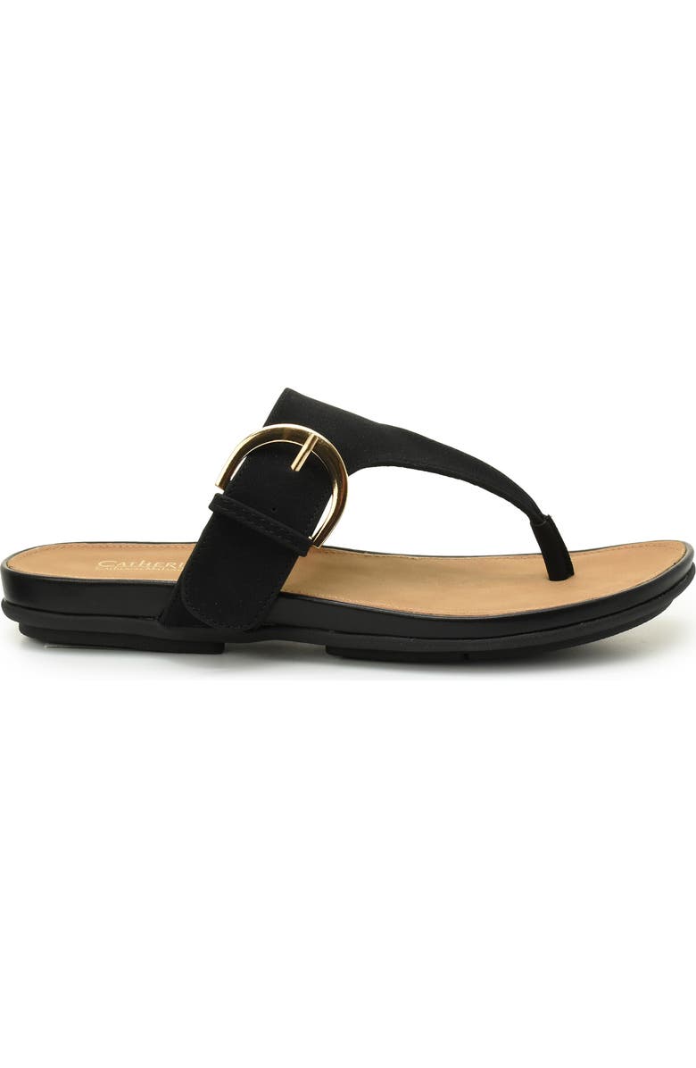 Catherine Catherine Malandrino Martie Thong Toe Sandal, Alternate, color,