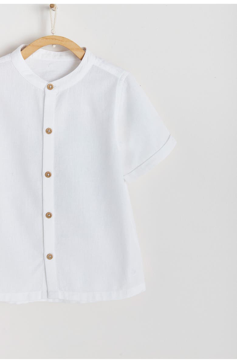 Babycottons Premium Cotton Celebration Jona Shirt for Little Kid, Alternate, color,