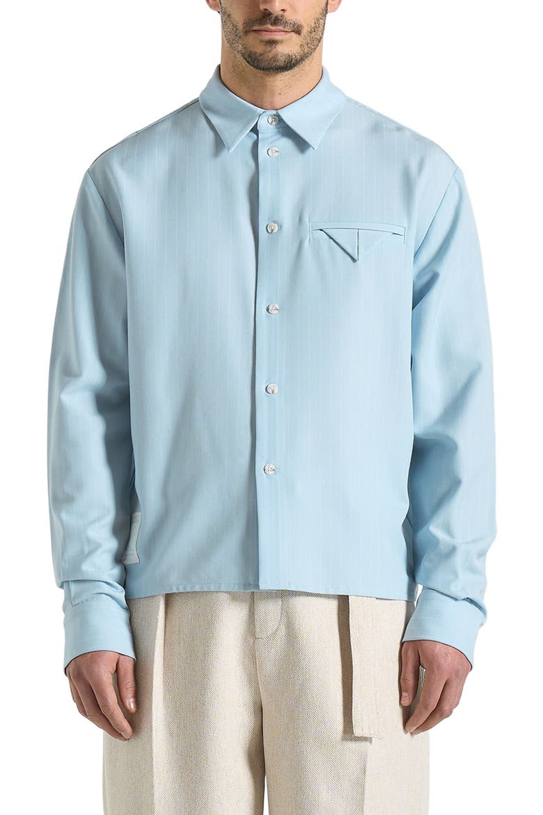 Arlo Pinstripe Cropped Long Sleeve Shirt, Alternate, color, Blue