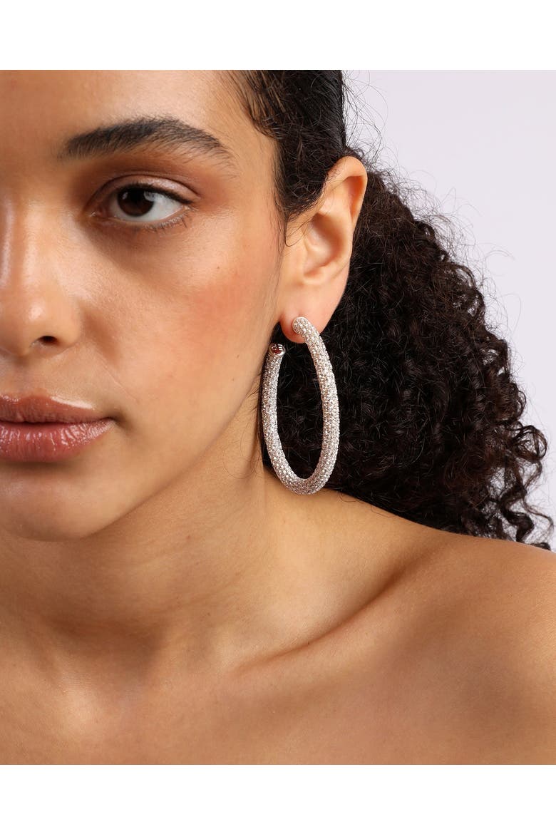 Wild Hoops, Alternate, color, Silver