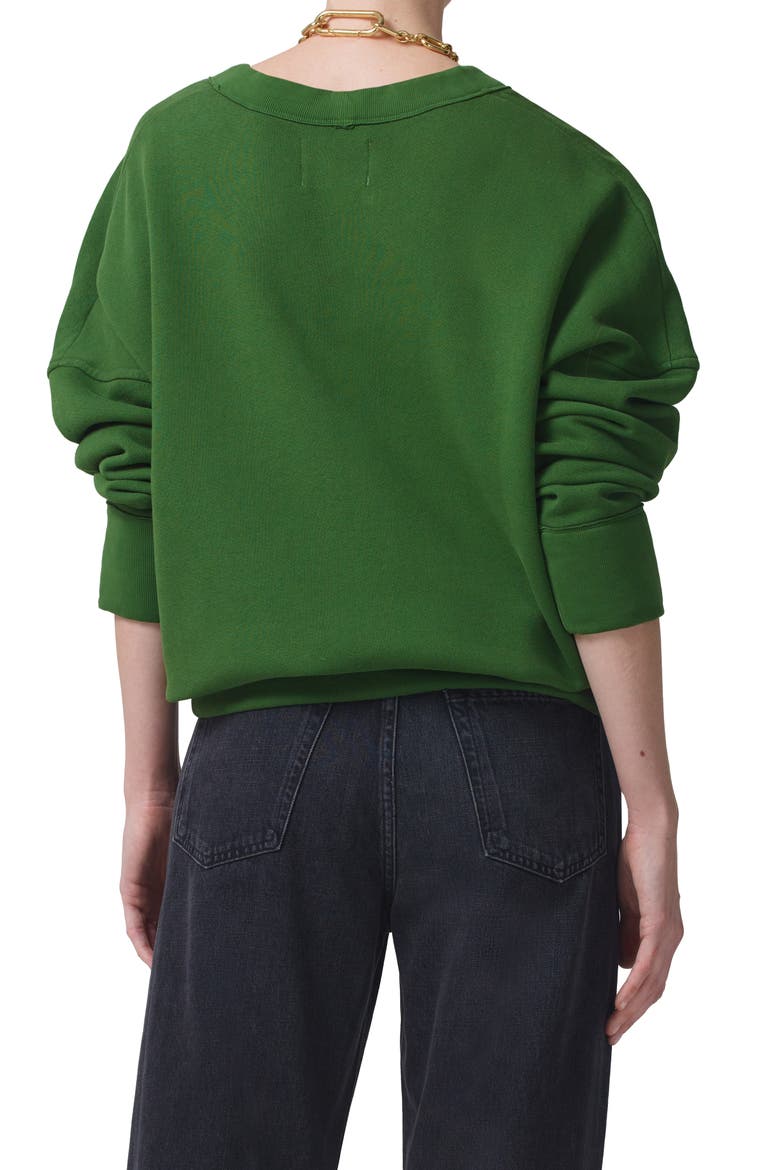 Ronan V-Neck Sweatshirt, Alternate, color, FERN
