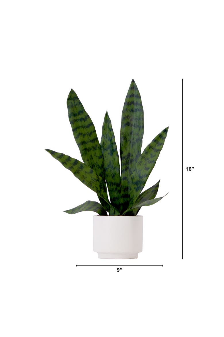 16-in Artificial Sansevieria Snake Plant with Decorative Planter, Alternate, color, Green