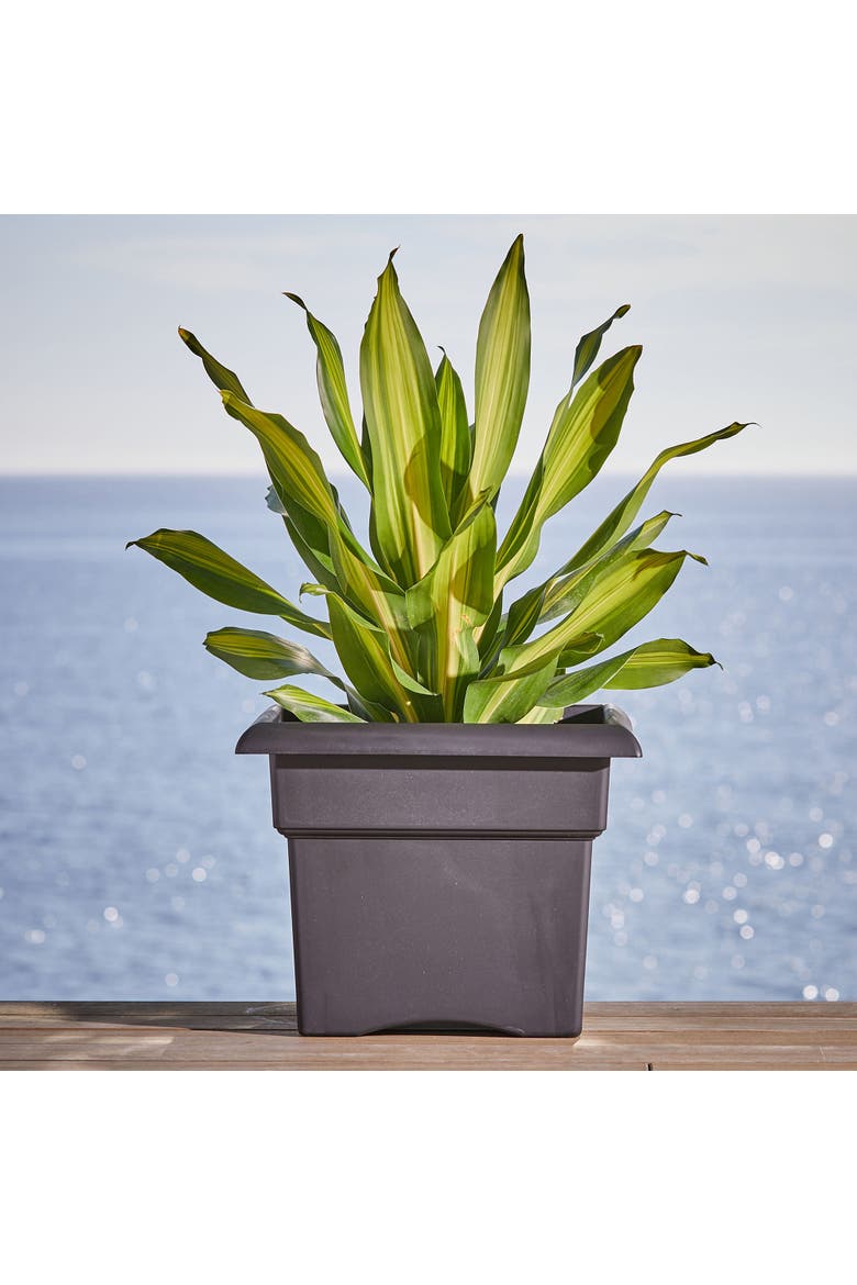 Veranda Deck Box Planter Square 18 Inch Black, Alternate, color, Black