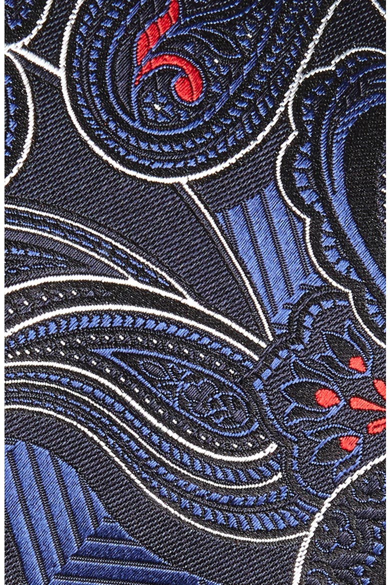 Ermenegildo Zegna Paisley Silk Tie, Alternate, color, NAVY FAN