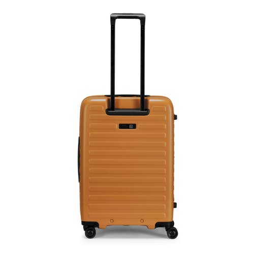 Lojel Cubo Medium Check