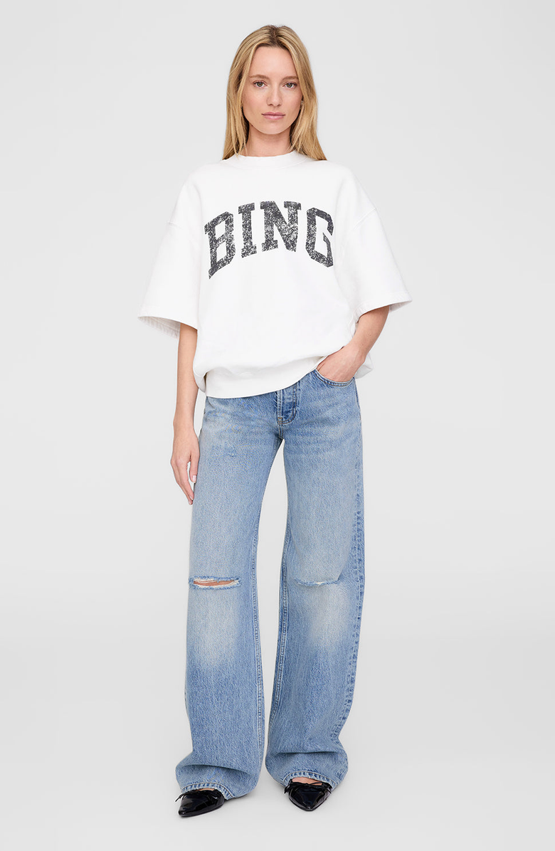 ANINE BING Jay Bing Sweatshirt, Main, color,