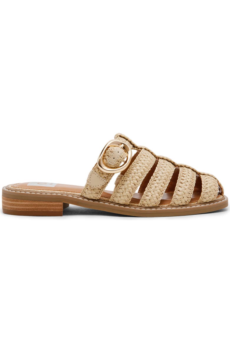 DV by Dolce Vita Fyona Mule Sandal, Alternate, color, Raffia
