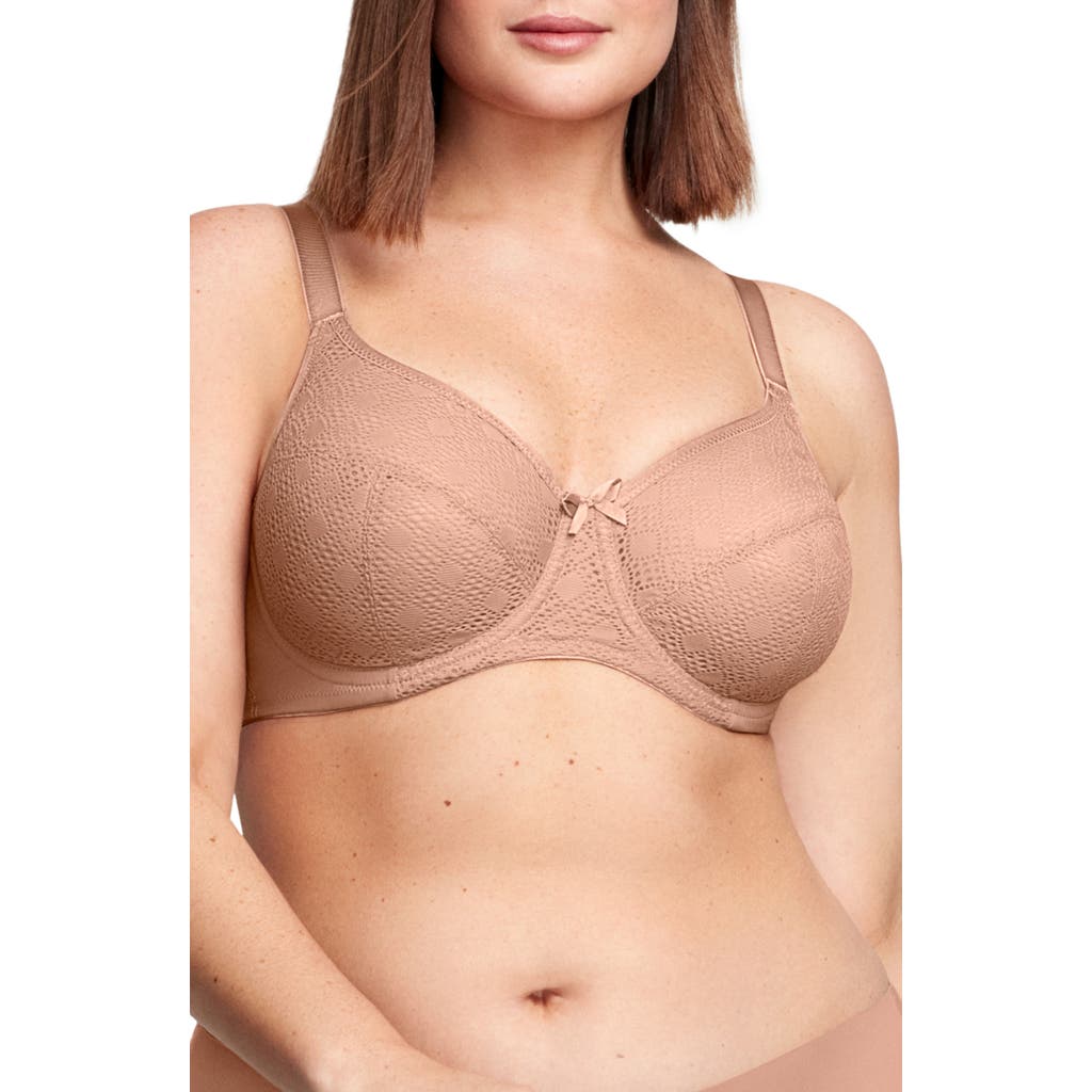 Glamorise Full Figure Lace Underwire Bra in Cappuccino  product
