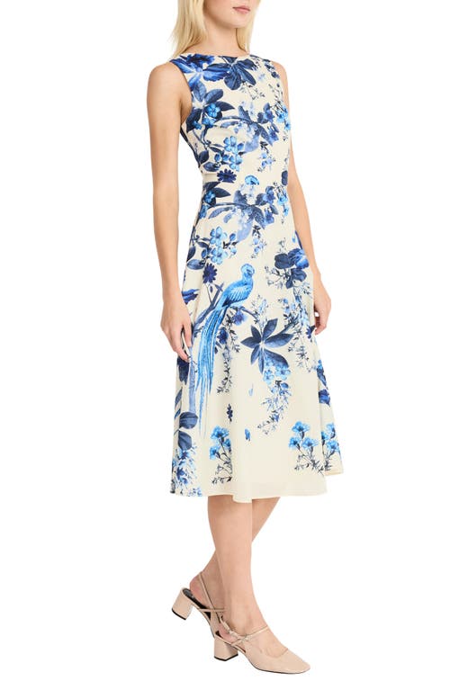 Maggy London Cotton Voile Fit & Flare Midi Dress In Cream/denim Blue