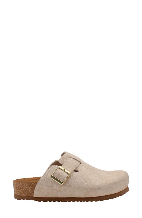 Volatile Pumpkin Clog In Brown