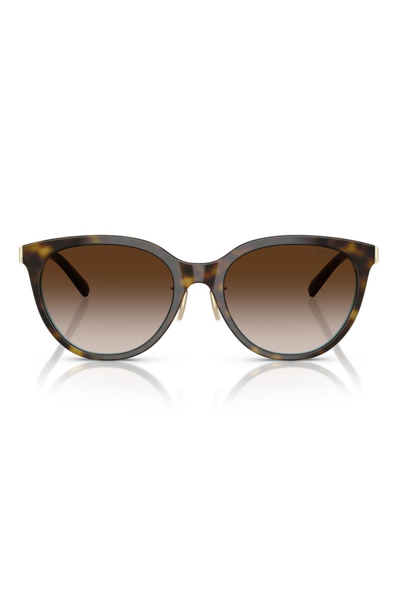 55mm Round Sunglasses, Main, color, HAVANA ON TIFFANY BLUE / BROWN