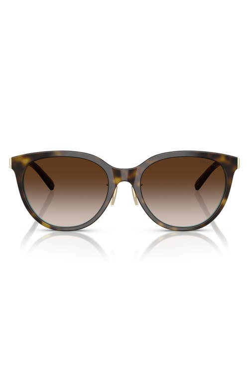 Tiffany & Co . 55mm Round Sunglasses