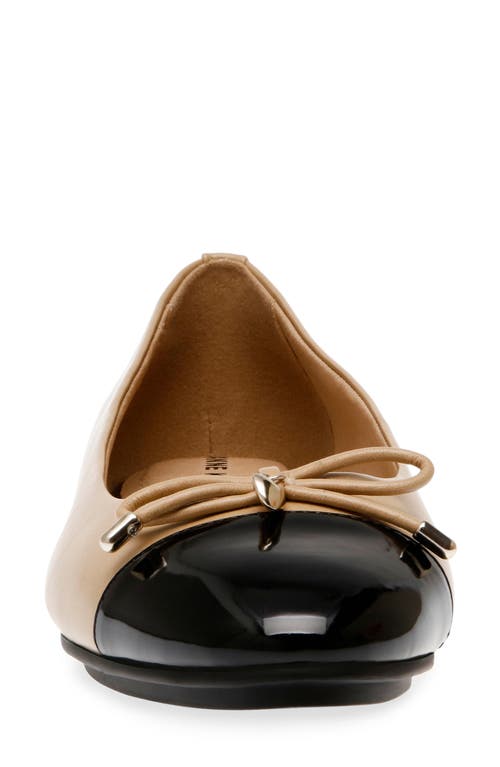 Anne Klein Luci Cap Toe Ballet Flat In Multi