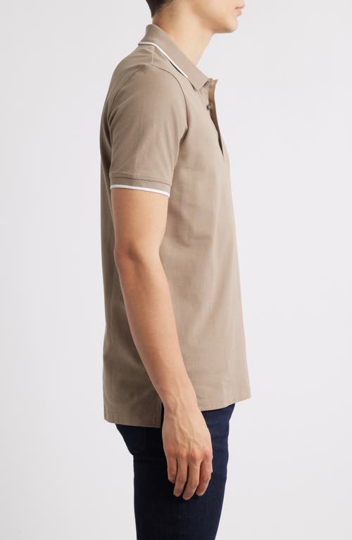Shop Hugo Boss Hugo Dino Tipped Polo In Medium Brown