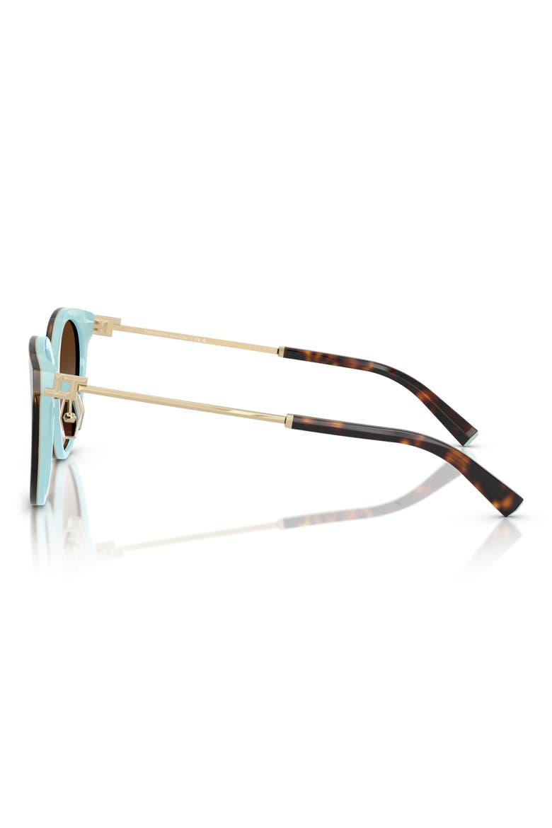 55mm Round Sunglasses, Alternate, color, HAVANA ON TIFFANY BLUE / BROWN