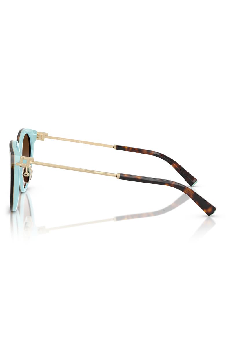 Tiffany & Co. 55mm Round Sunglasses, Alternate, color, Havana On Tiffany Blue / Brown