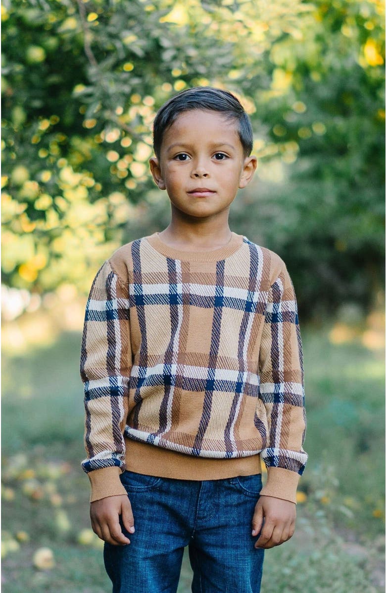 Hope & Henry Boys' Organic Intarsia Crew Neck Sweater, Kids, Alternate, color,