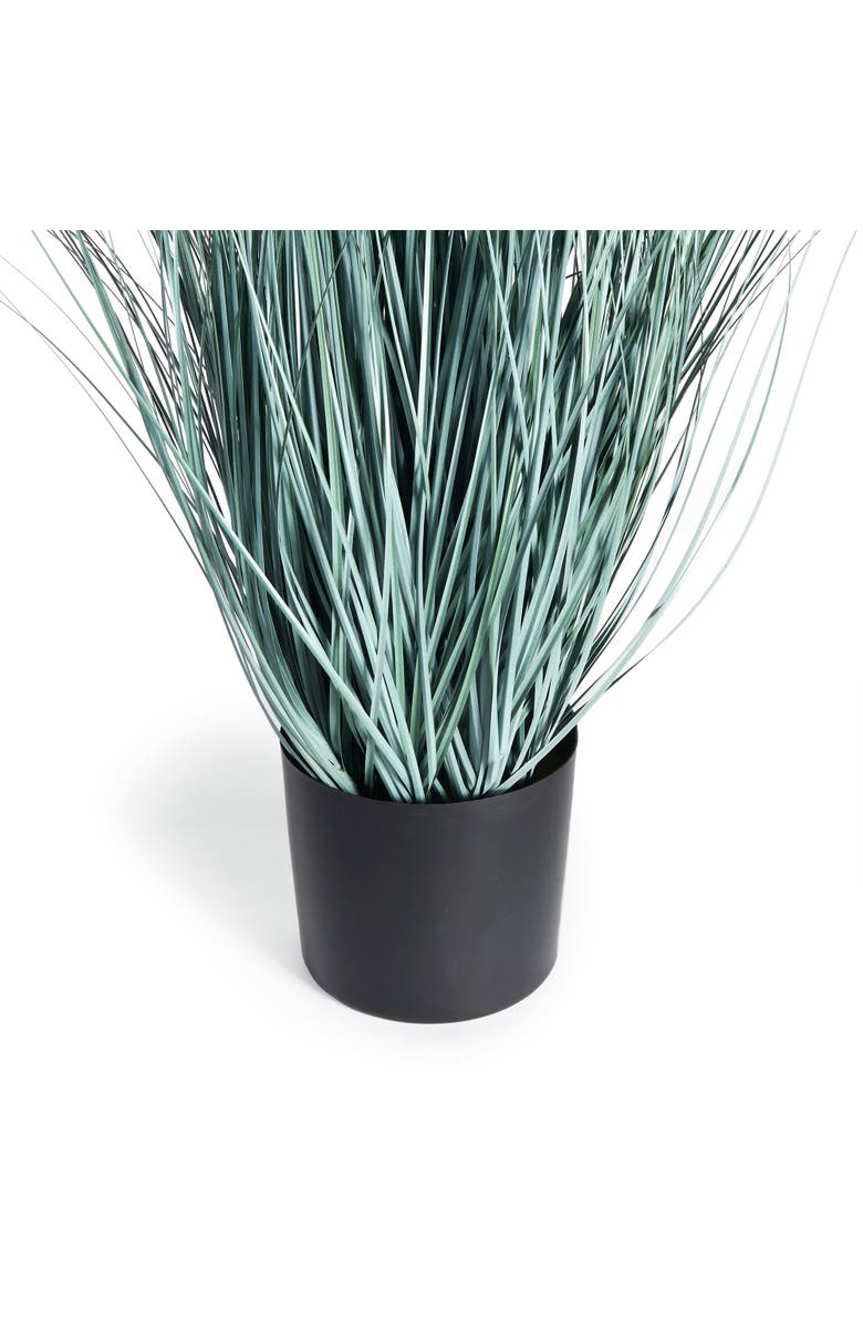 Napa Home & Garden Blue Oat Grass Drop-In 32", Alternate, color, Blue