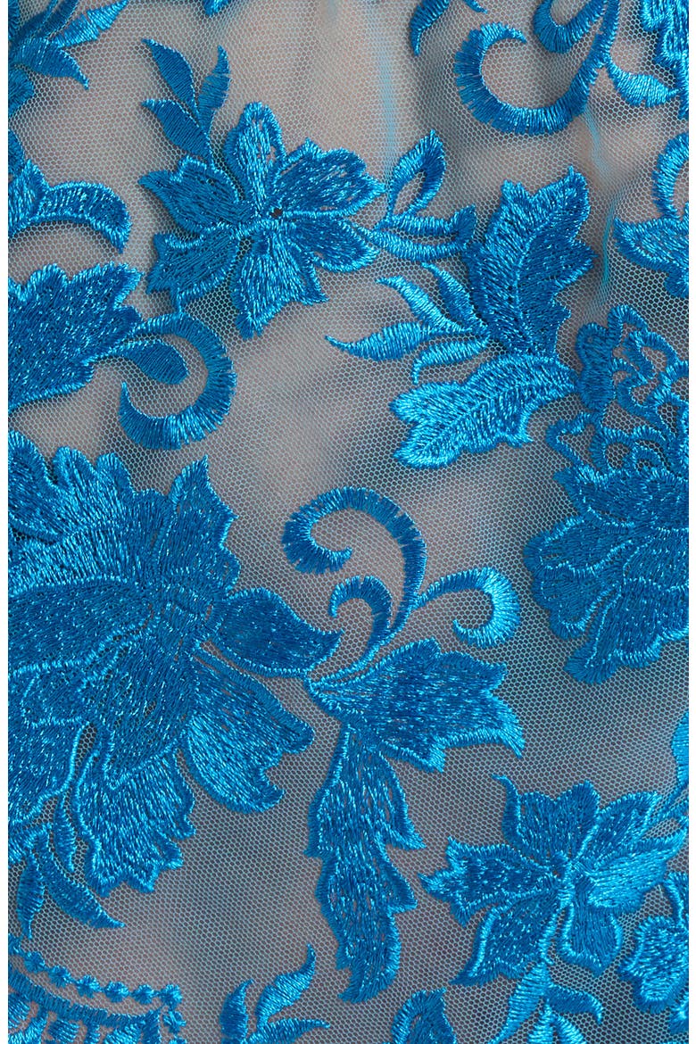 Embroidered Mesh Tap Boyshorts, Alternate, color, BLUE