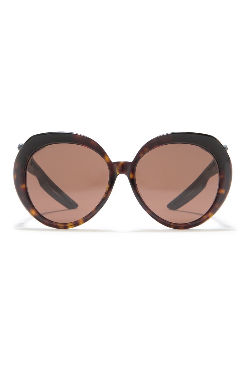 56mm Round Sunglasses, Main, color, HAVANA BLACK BROWN