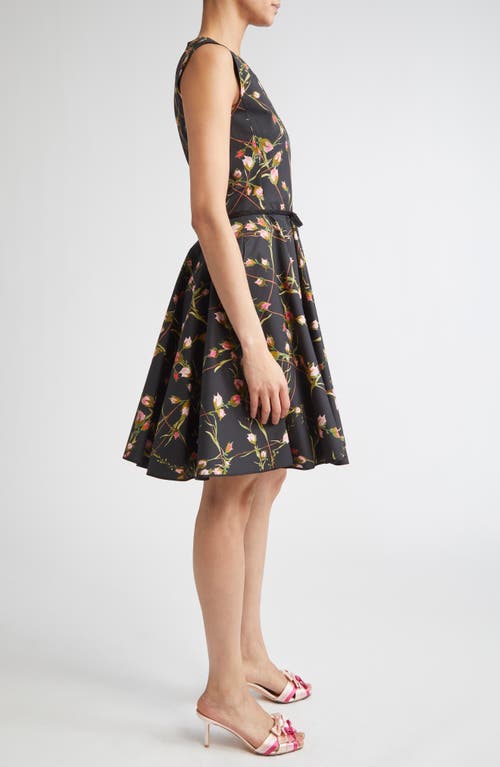 Giambattista Valli Floral Cotton Poplin Fit & Flare Dress In Black