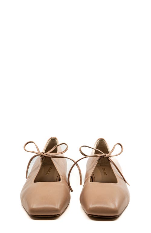 Andrea Gomez Amelia Leather Ballet Flats In Blush