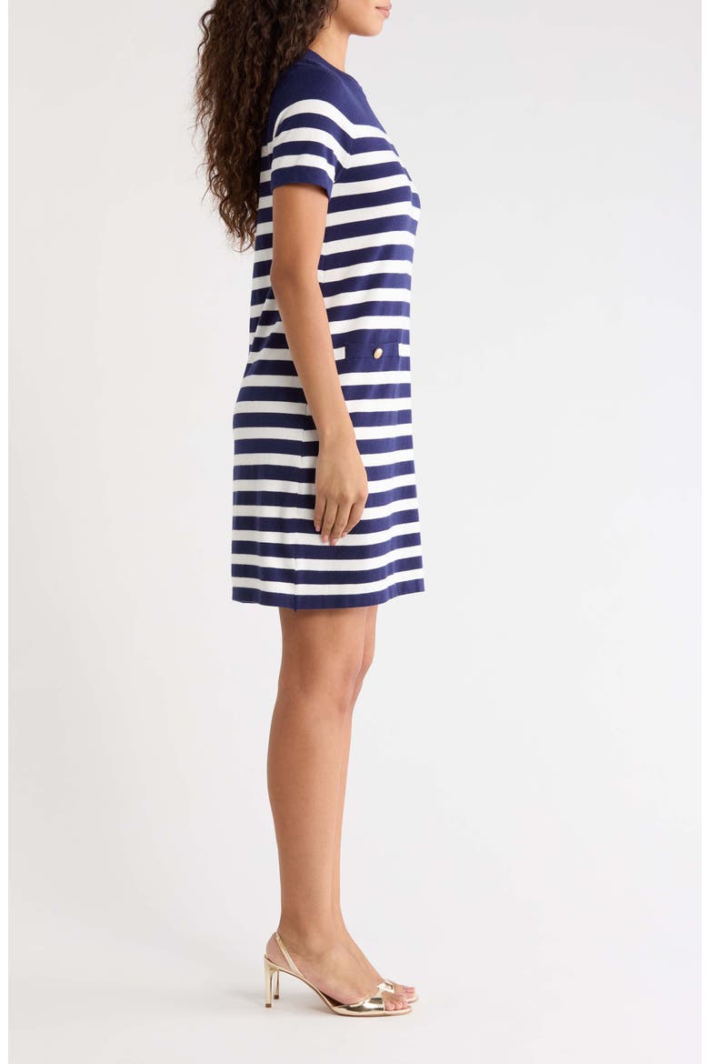 Ebie Stripe Sweater Dress, Alternate, color, NAVY WHITE