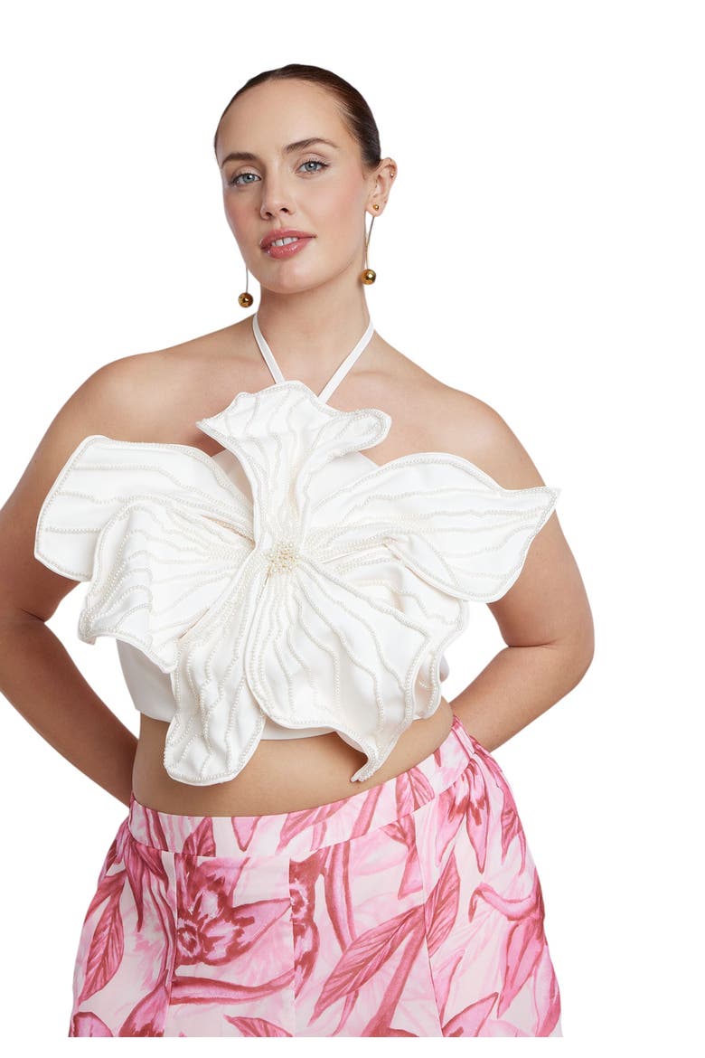 Patbo X Eloquii Embellished Flower Appliqué Top, Main, color, COCONUT CREAM