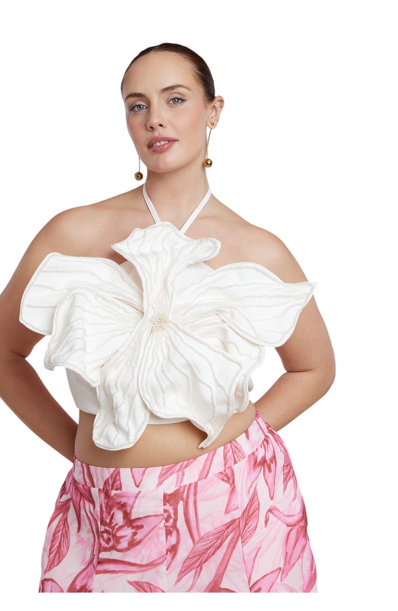 ELOQUII Halter Scarf Top, Main, color, Coconut Cream