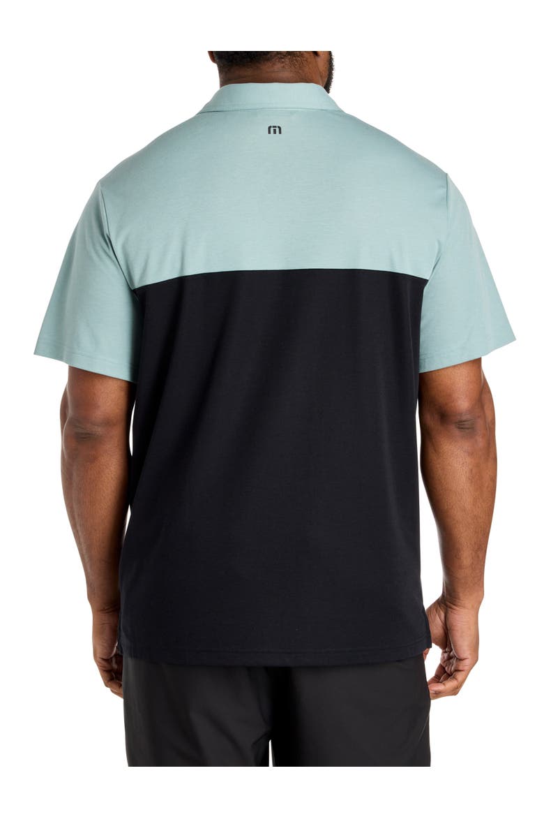 Big & Tall Postcard Book Polo Shirt, Alternate, color, ARONA