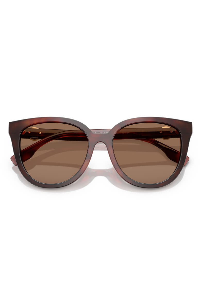 Tory Burch 56mm Phantos Sunglasses, Alternate, color, Dark Brown