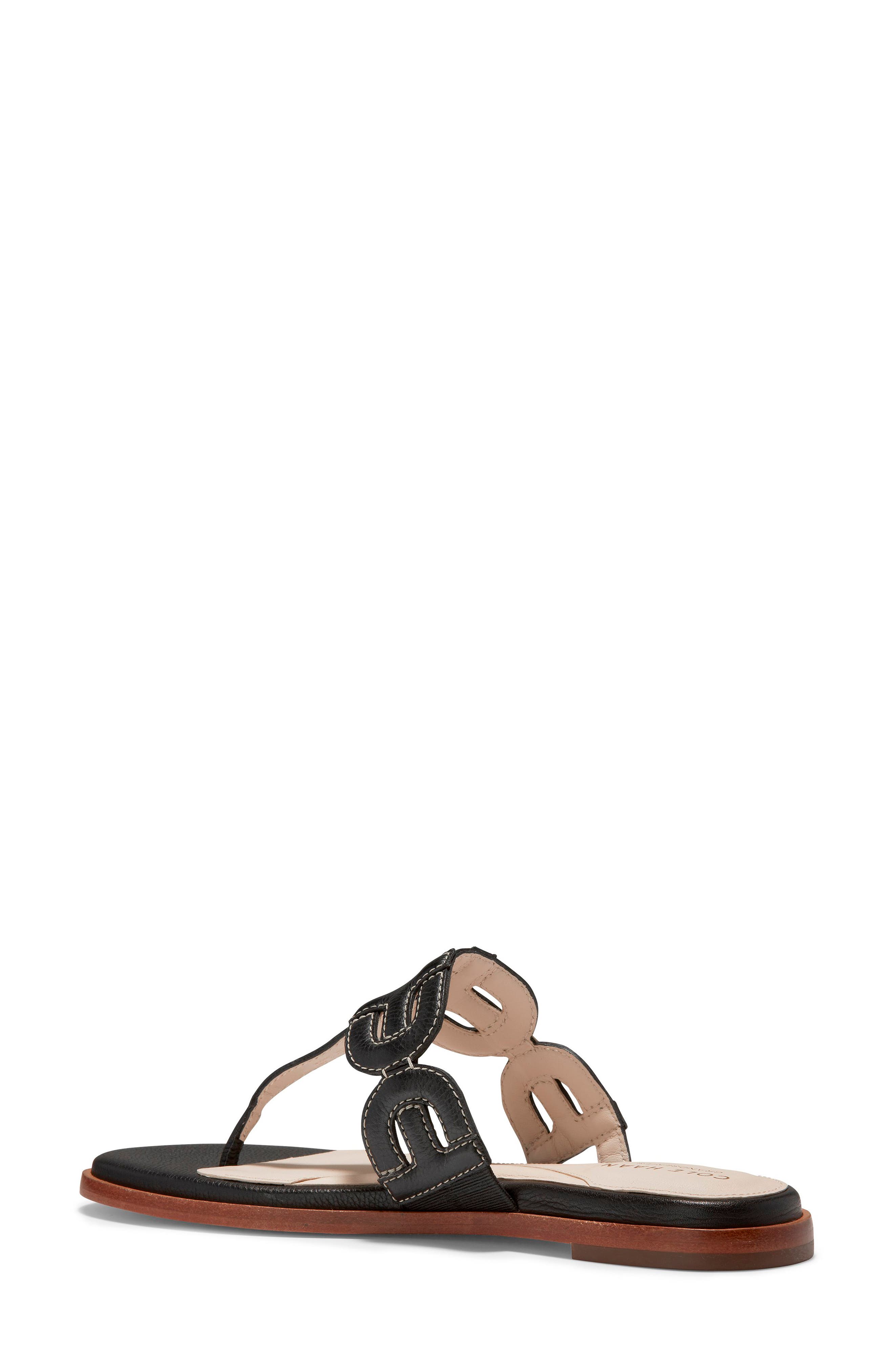 Cole Haan Anoushka Flip Flop, Alternate, color, 