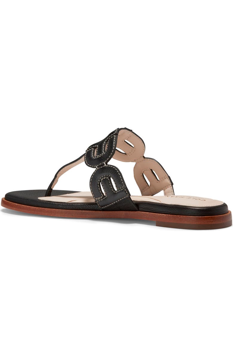 Cole Haan Anoushka Flip Flop, Alternate, color,