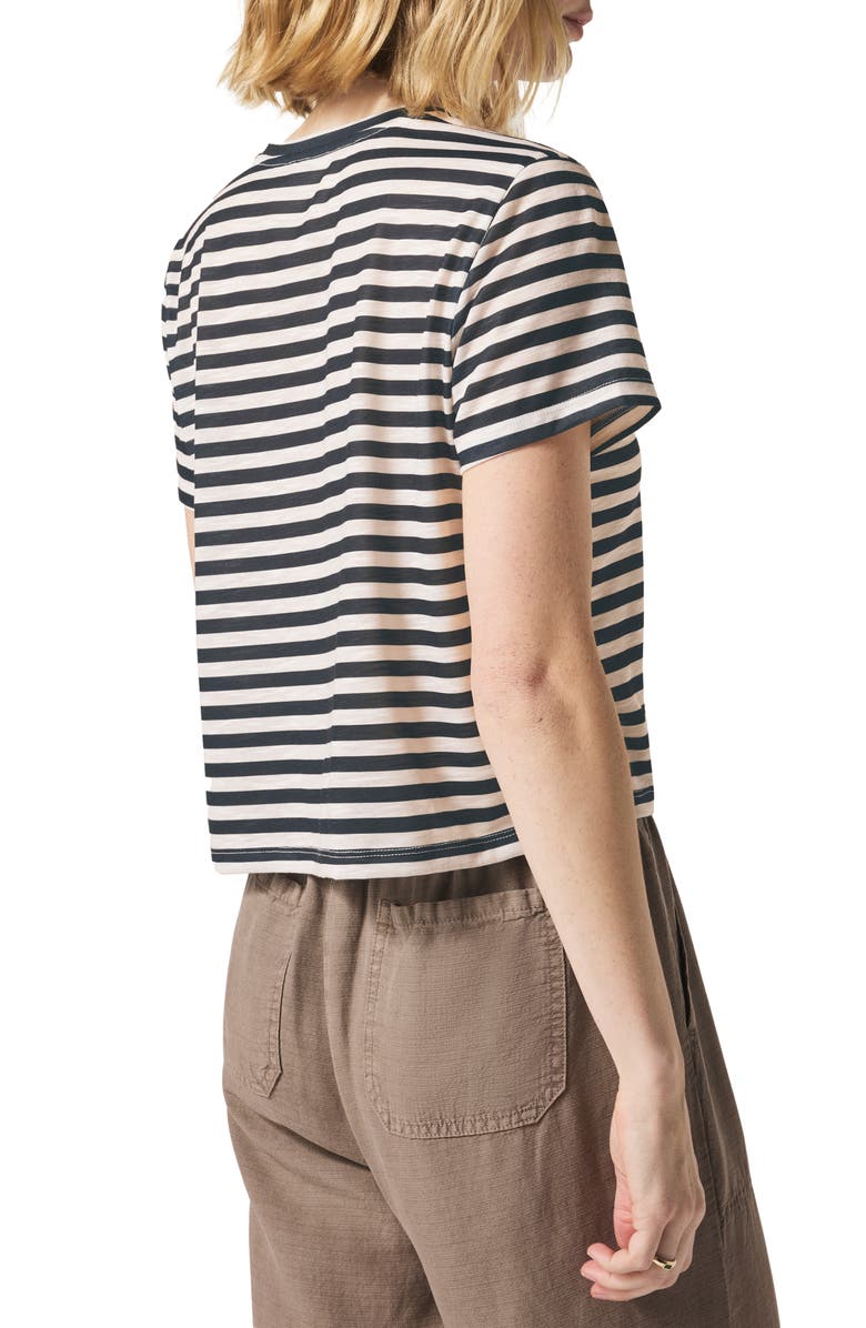 Splendid Louisa Stripe T-Shirt, Alternate, color, 