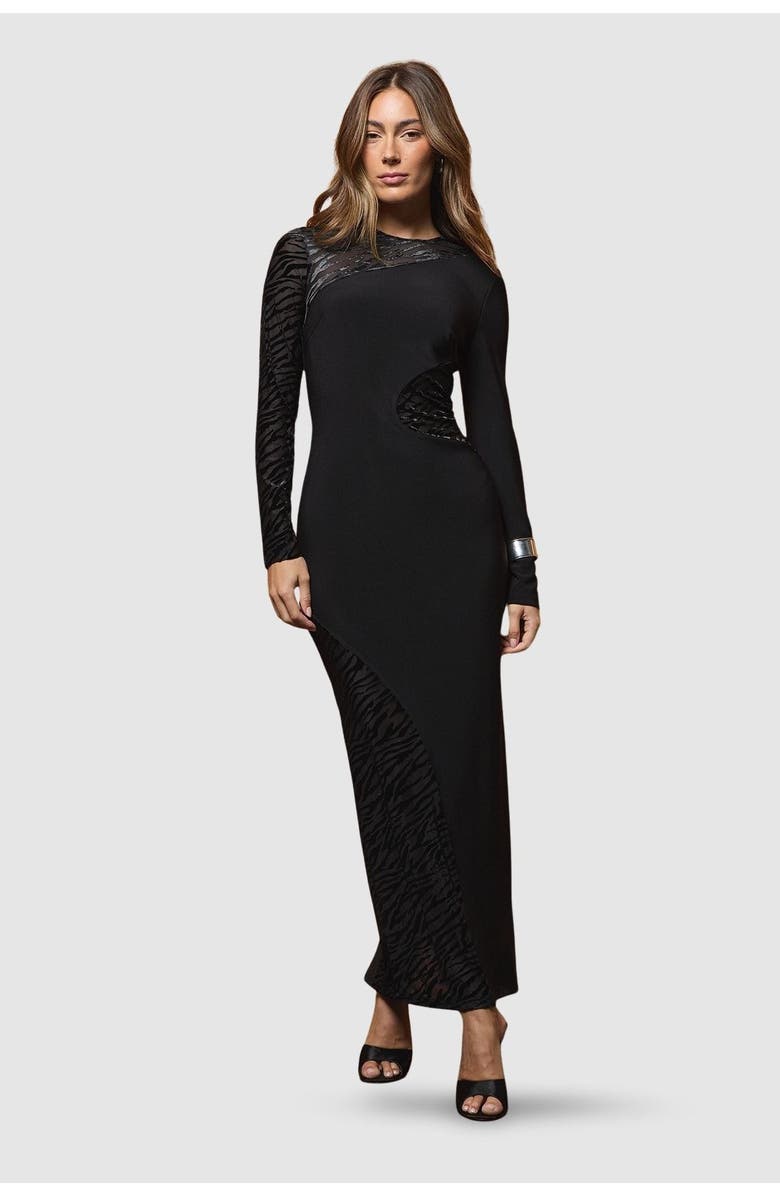 Coast Muse Zebra Mesh Maxi Dress, Main, color, Black