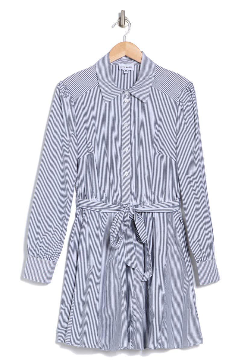 Steve Madden Godet Stripe Shirtdress, Alternate, color,