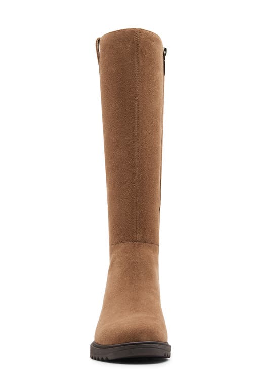 Blondo Colorado Waterproof Knee High Riding Boot In Tan Suede