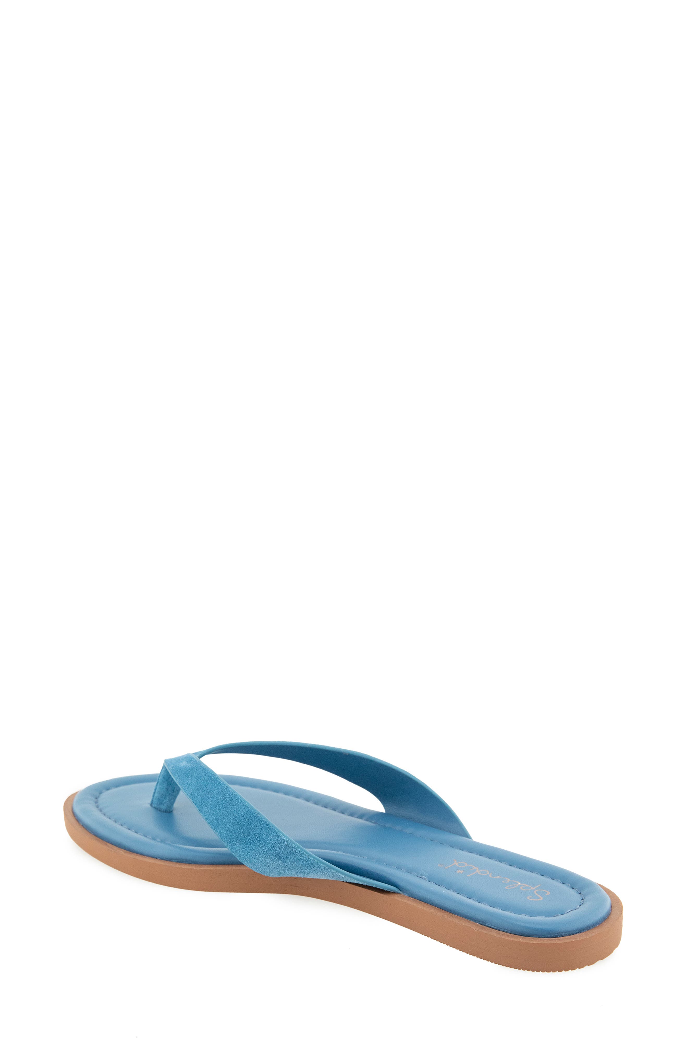 Splendid Ravi Flip Flop Sandal, Alternate, color, Indigo