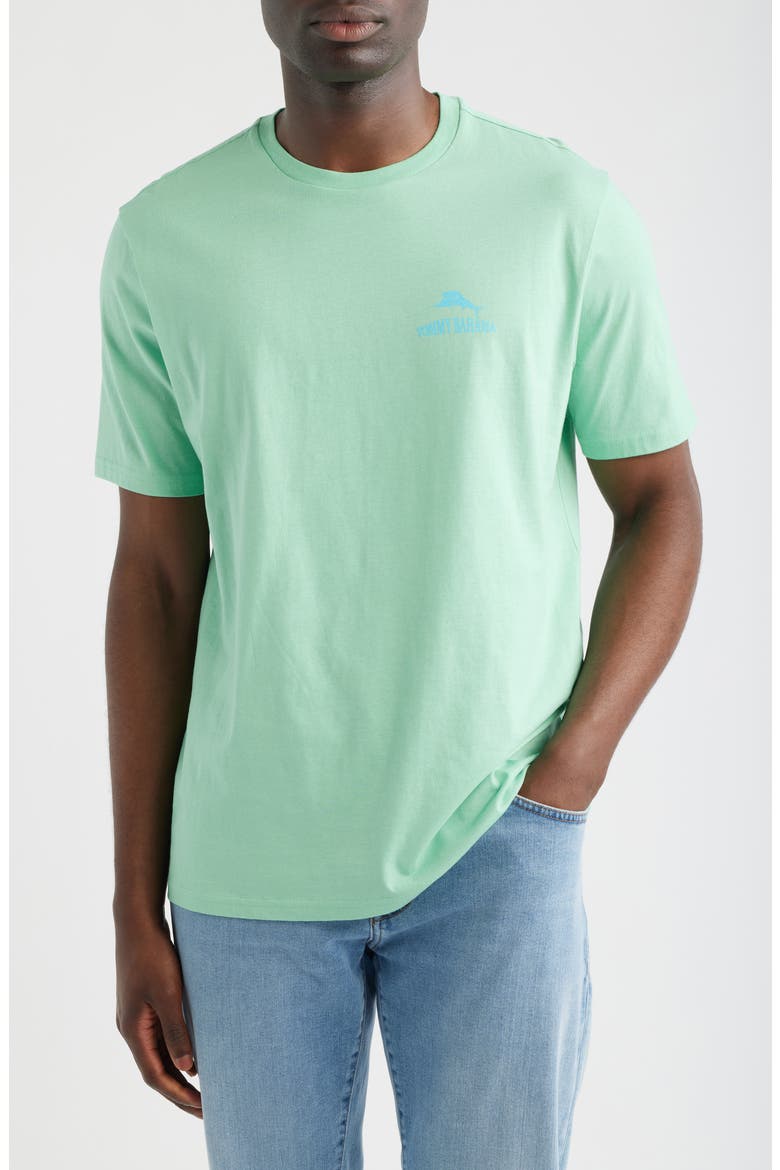 I have Angler Issues Cotton Graphic T-Shirt, Main, color, LIGHT NEPTUNE HEATHER