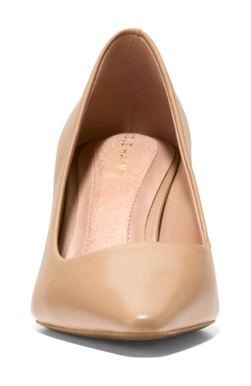 Cole Haan The Go-to Janey Pointed Toe Pump