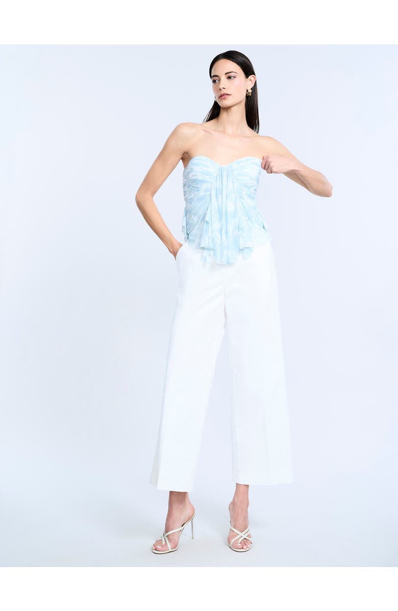 BCBGMAXAZRIA Printed Mesh Corset, Alternate, color, Sky Floral Print