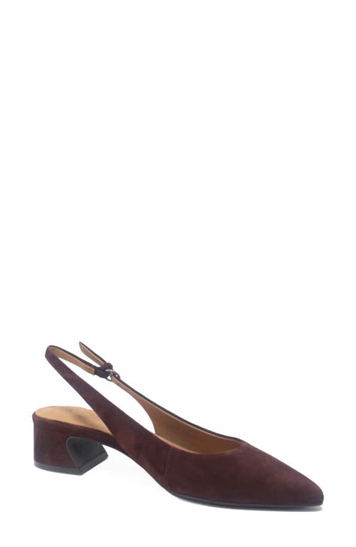 Gentle Souls Georgia Slingback Pointed Toe Pump In Burgundy