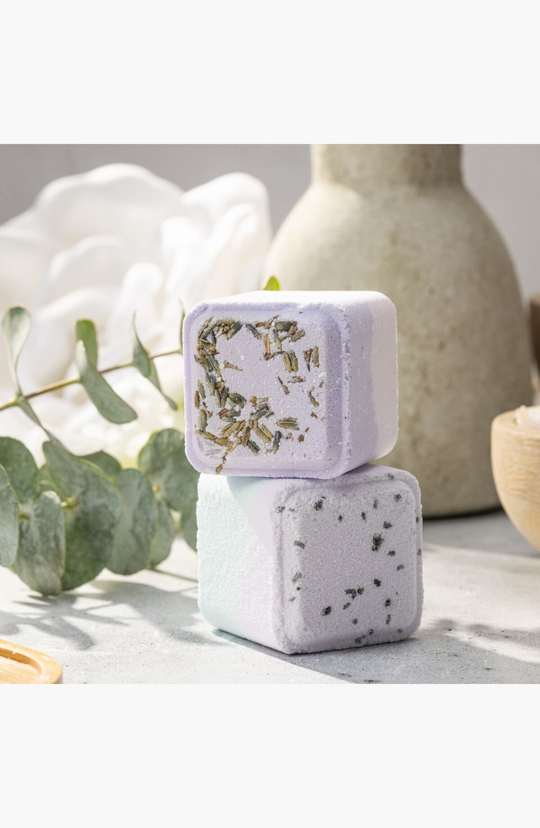 Lizush Earthy Shower Steamer Gift Box, Set of 5 Shower Steamers, Alternate, color, NO COLOR