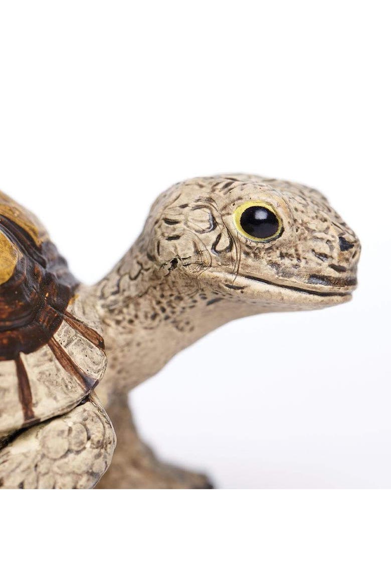 Tortoise Toy, Alternate, color, No Color